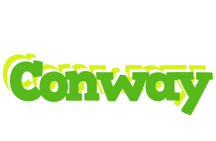 Conway picnic logo