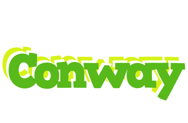 Conway picnic logo