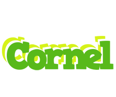 Cornel picnic logo