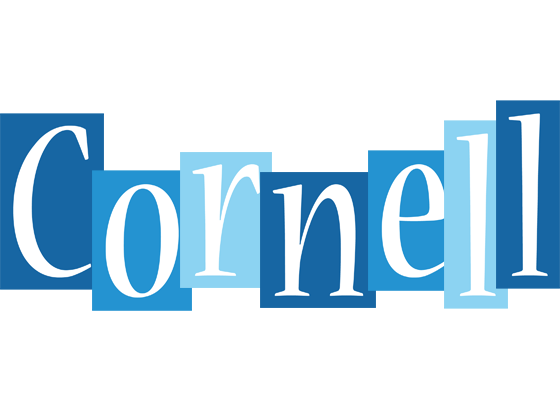 Cornell winter logo