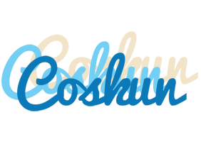 Coskun breeze logo