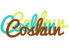 Coskun cupcake logo