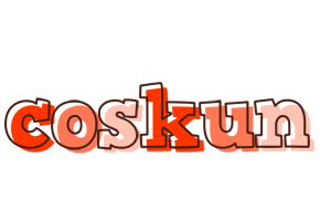Coskun paint logo