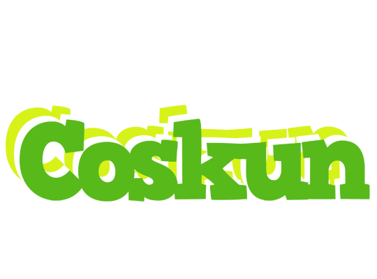 Coskun picnic logo