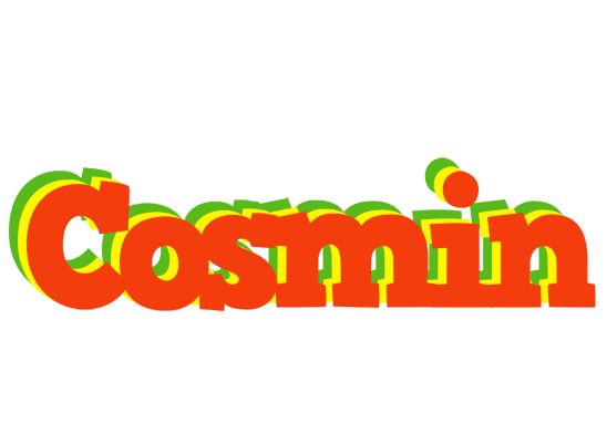Cosmin bbq logo
