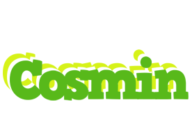 Cosmin picnic logo