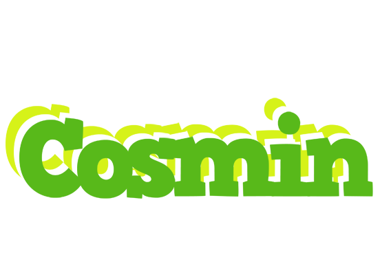 Cosmin picnic logo