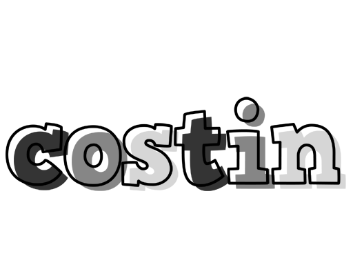 Costin night logo