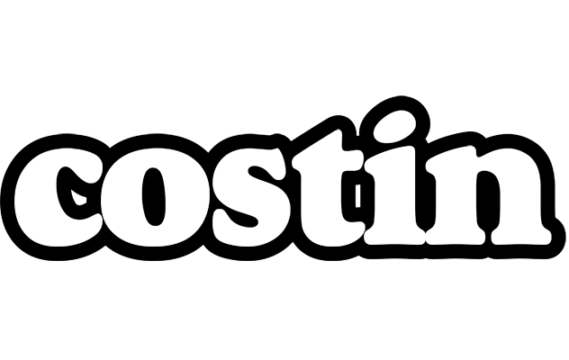 Costin panda logo