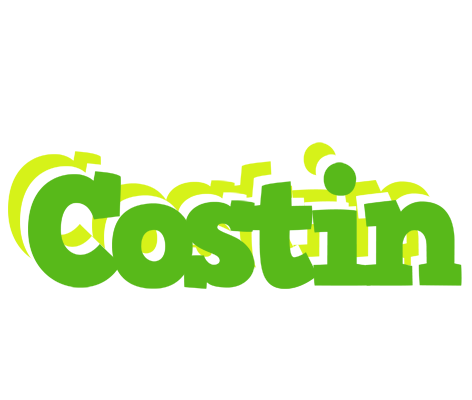 Costin picnic logo