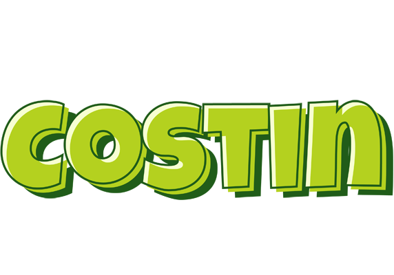 Costin summer logo