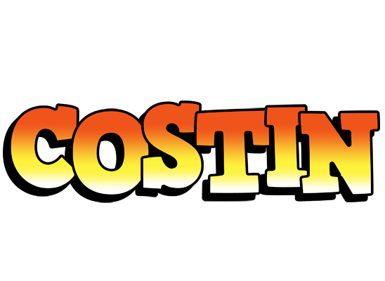 Costin sunset logo