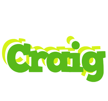 Craig picnic logo