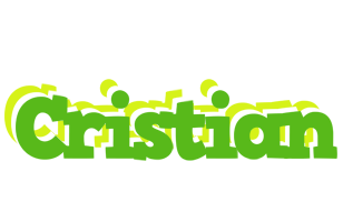 Cristian picnic logo