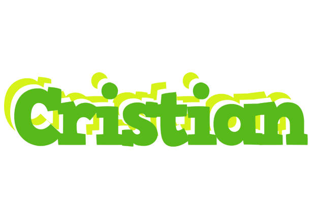 Cristian picnic logo
