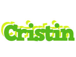 Cristin picnic logo