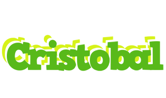 Cristobal picnic logo