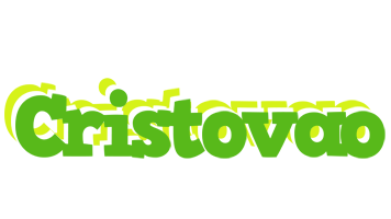 Cristovao picnic logo