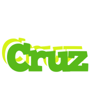 Cruz picnic logo