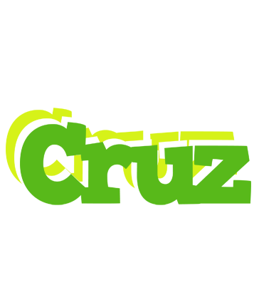 Cruz picnic logo