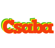 Csaba bbq logo