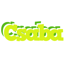 Csaba citrus logo