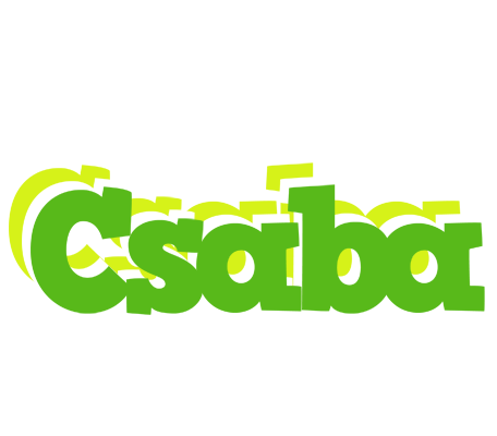 Csaba picnic logo