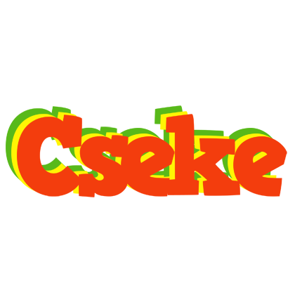 Cseke bbq logo
