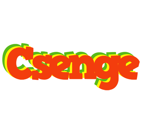 Csenge bbq logo