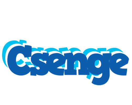 Csenge business logo