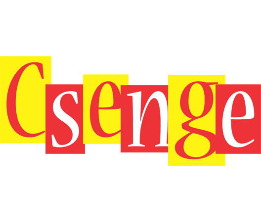 Csenge errors logo