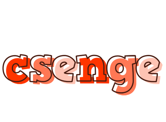 Csenge paint logo