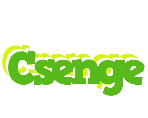 Csenge picnic logo