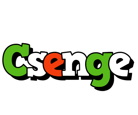 Csenge venezia logo