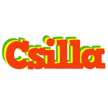 Csilla bbq logo