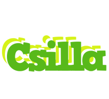 Csilla picnic logo