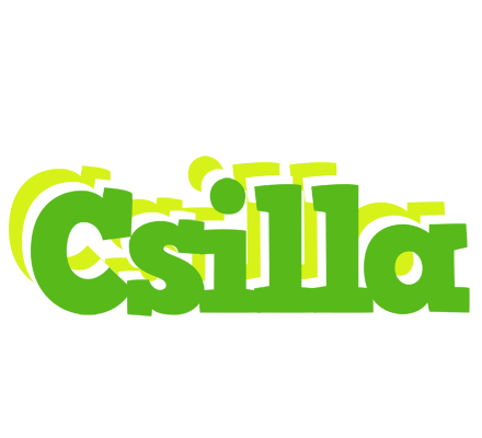 Csilla picnic logo