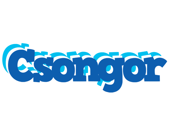 Csongor business logo