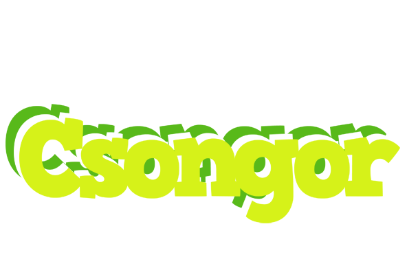 Csongor citrus logo