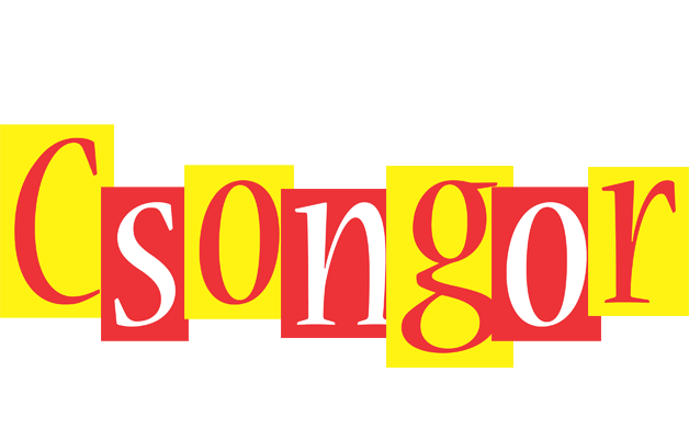 Csongor errors logo