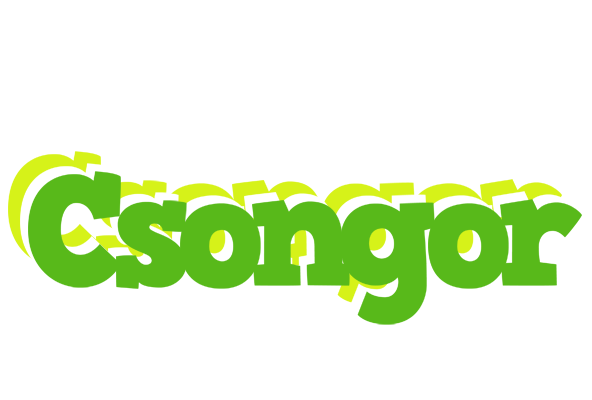 Csongor picnic logo