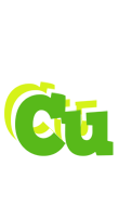 Cu picnic logo
