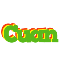 Cuan crocodile logo