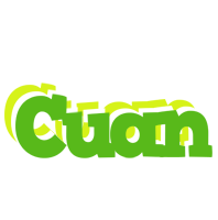 Cuan picnic logo