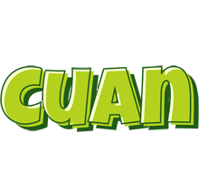 Cuan summer logo