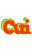 Cui bbq logo