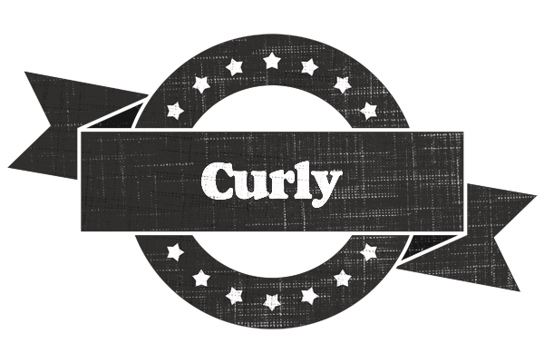 Curly grunge logo