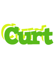 Curt picnic logo