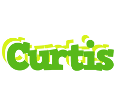 Curtis picnic logo