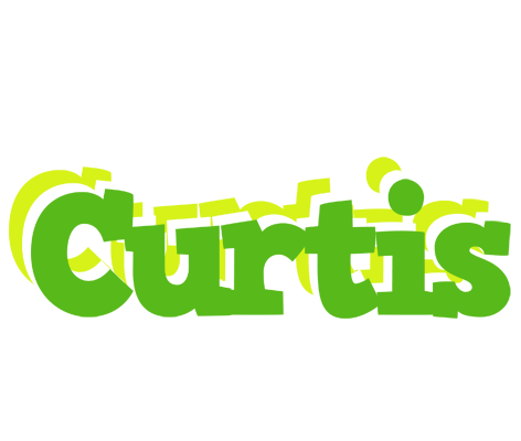 Curtis picnic logo